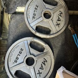 (2) 25 Lbs  Olympic Weights 