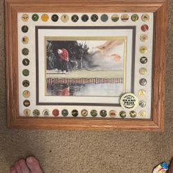 Golf Picture With 42 Ball Markers