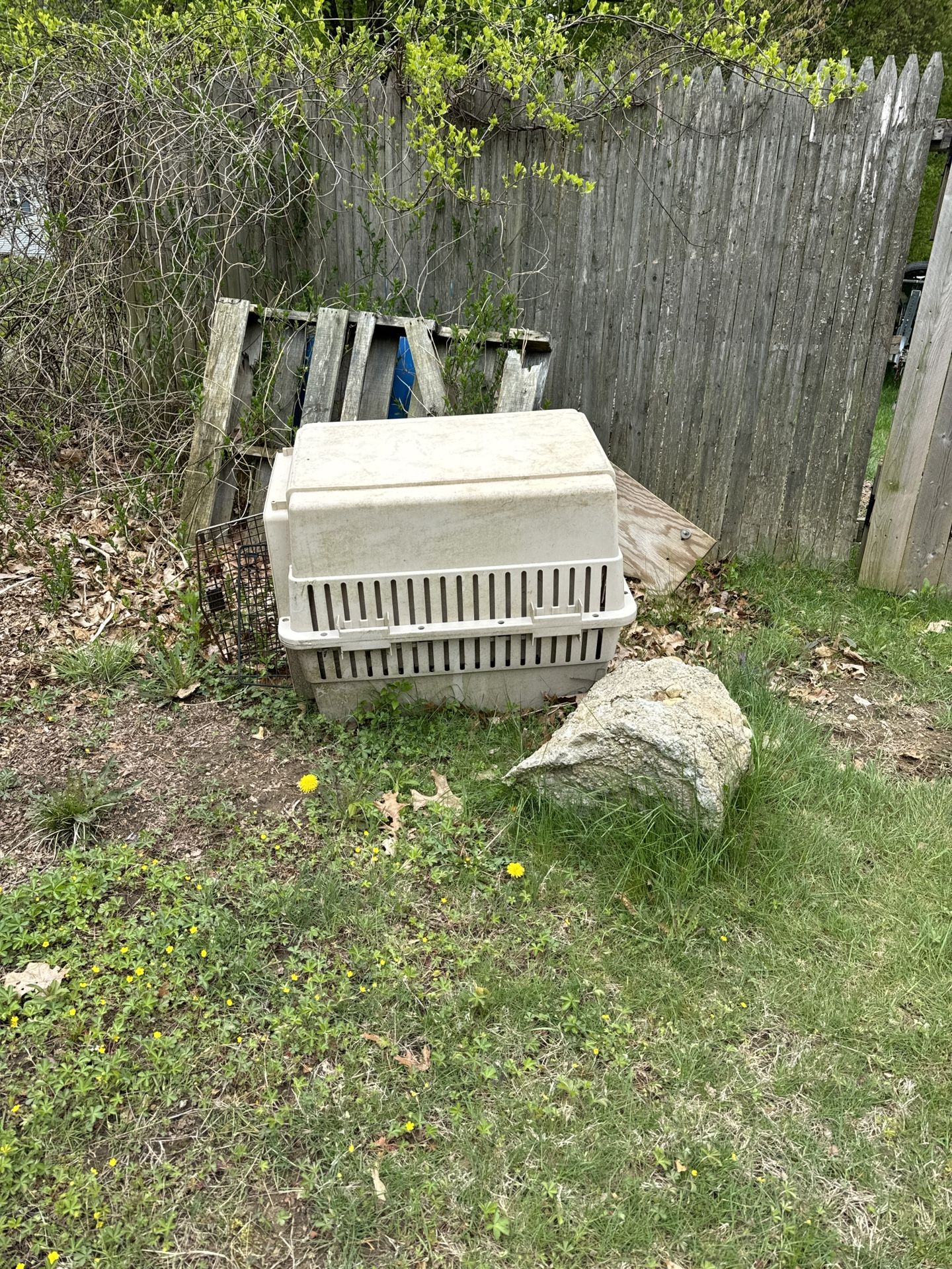 Dog crate