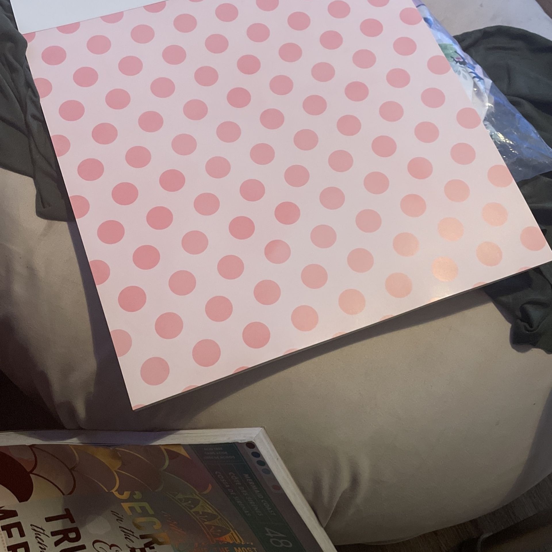 Nice Scape Book s $5 each