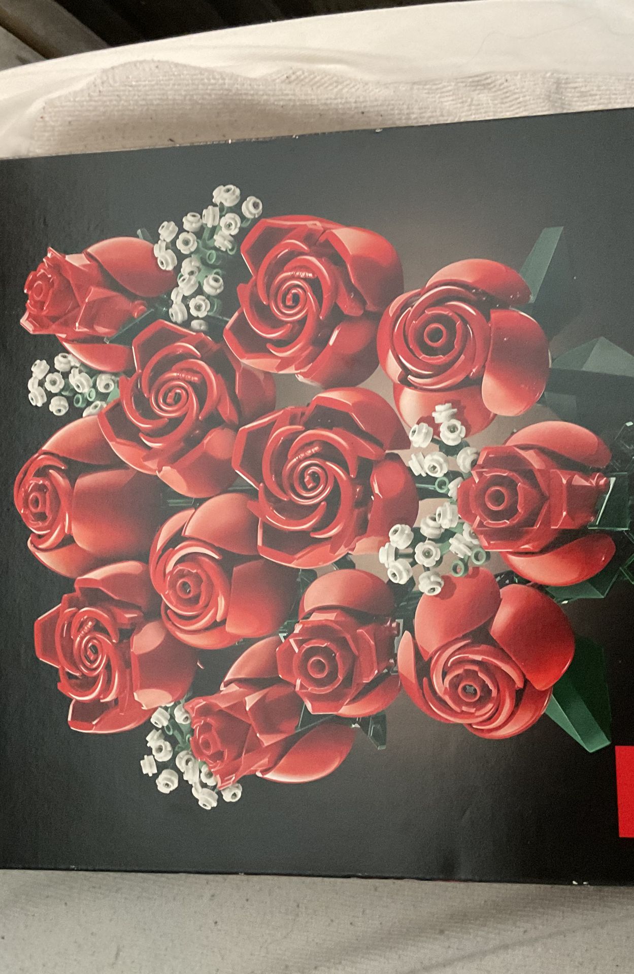  roses main image 0