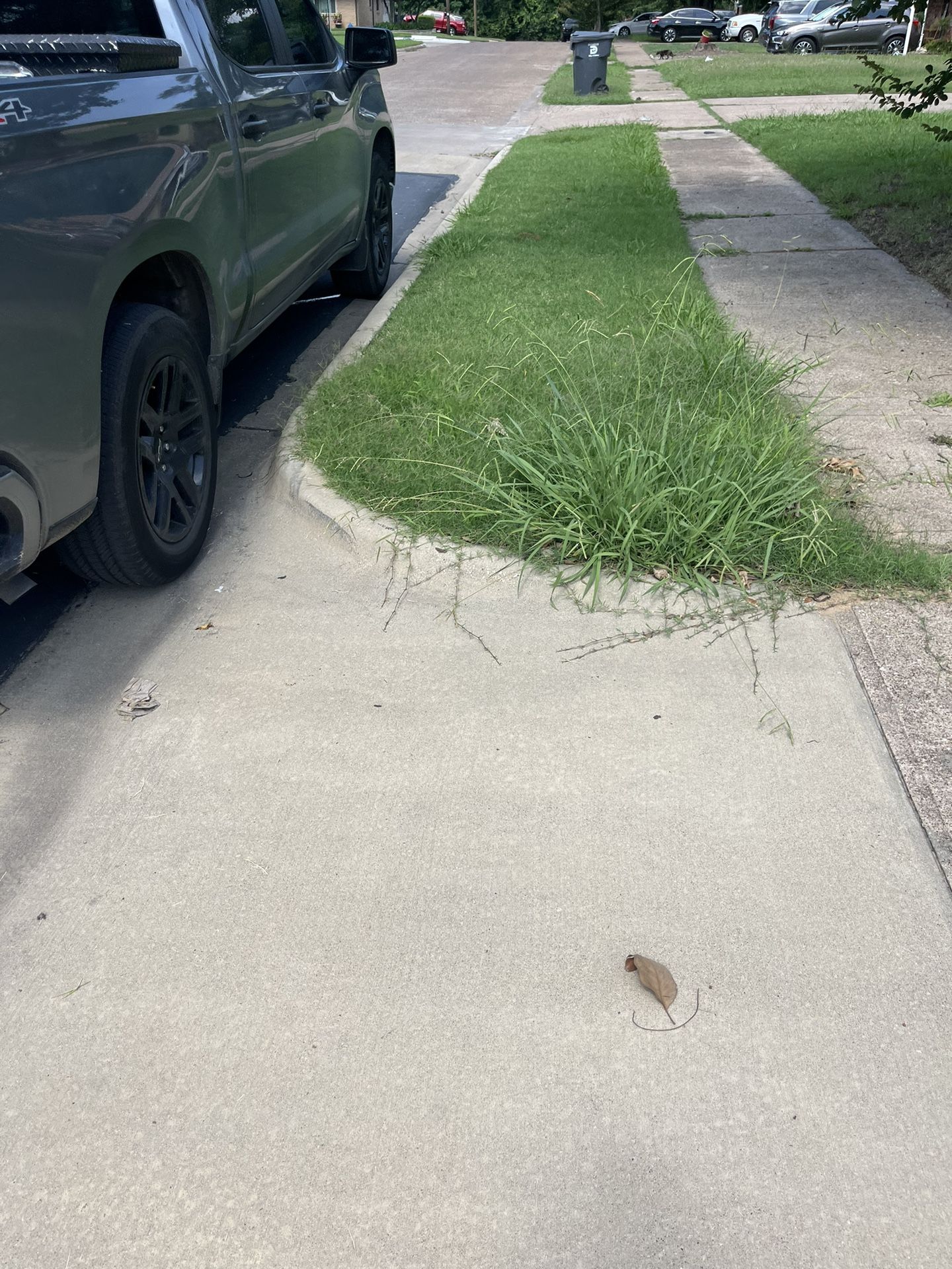 Cut Grass