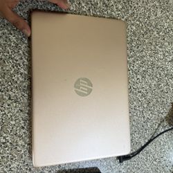 hp chromebook