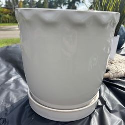 Small Flower Pot 