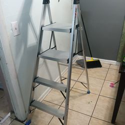6ft Ladder