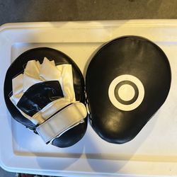 Boxing pads