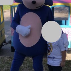 Sonic the Hedgehog Mascot Costume