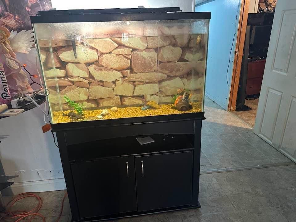 fish tank 