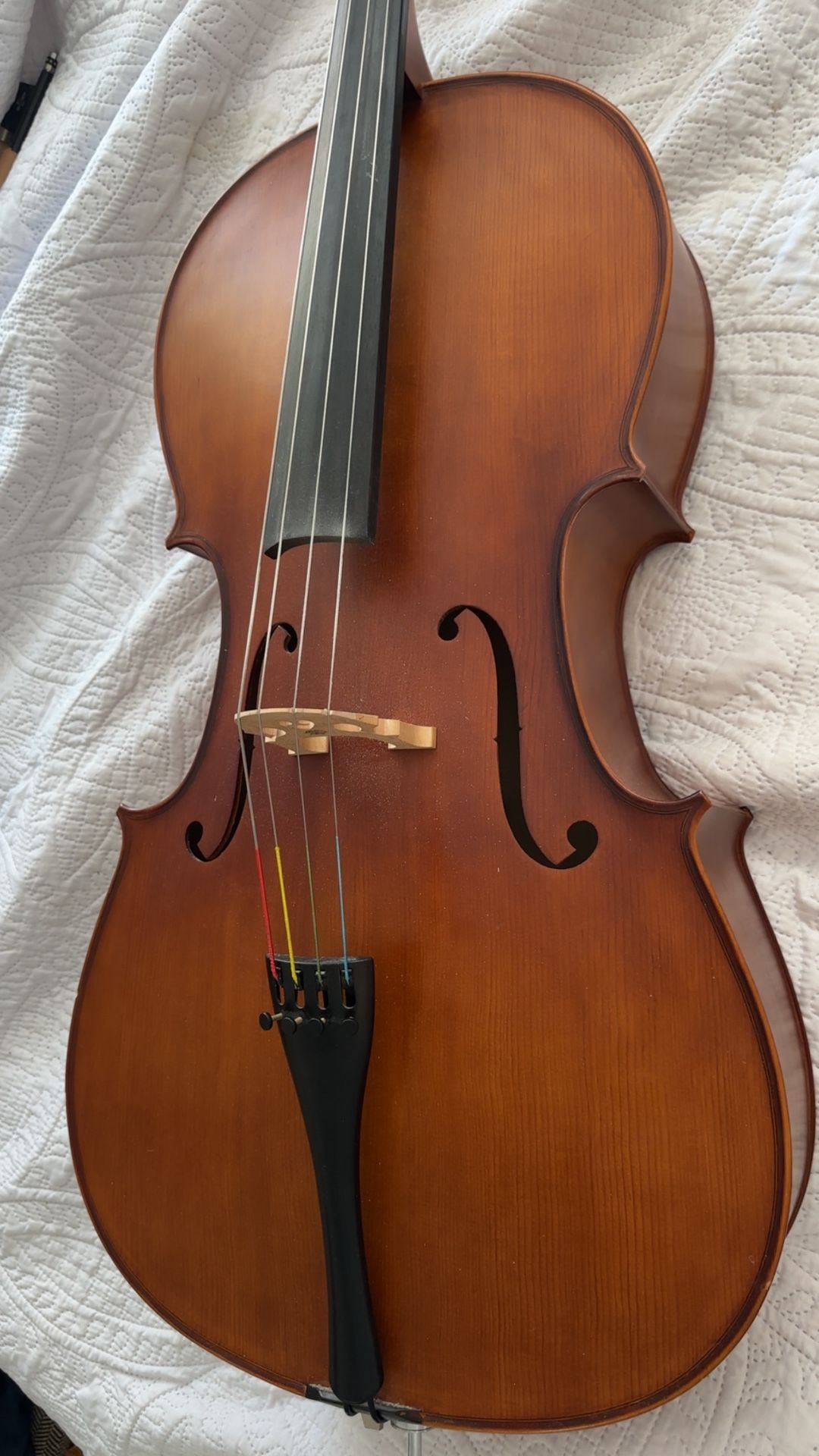 Solid Wood 4/4 Cello Ebony Fittings