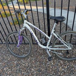 Schwinn Ranger Mountain Bike Front Suspension, 21-speed, 26-in Tires, 16.5 In Frame