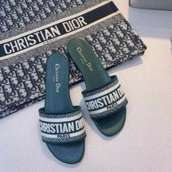 Dior slides