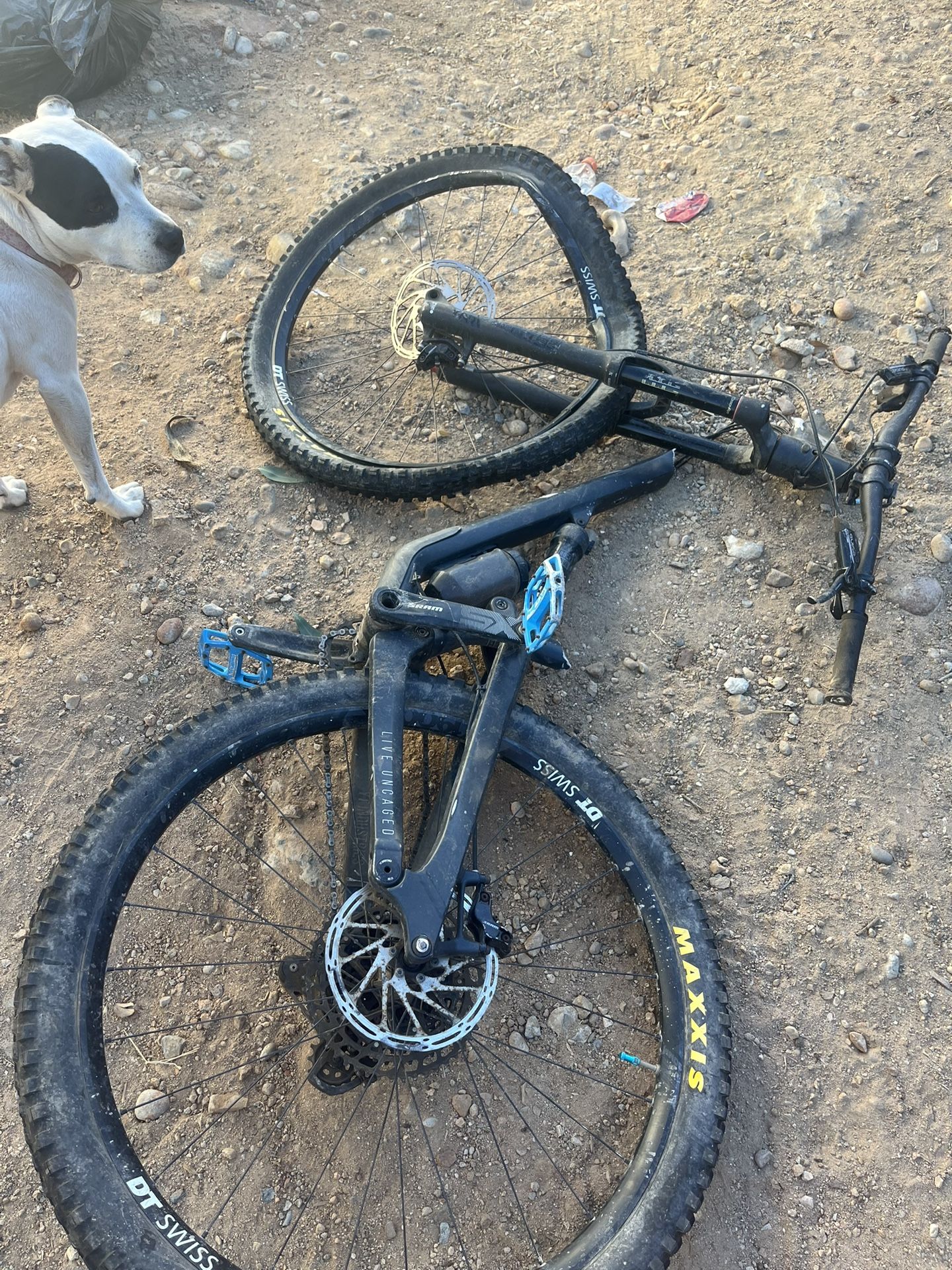 Mountain Bike YT Jeffsey $350 obo