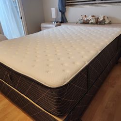 New Queen Mattress And Box Spring 2pc Bed Frame  Is Not Included 