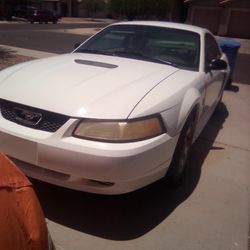 MUSTANG