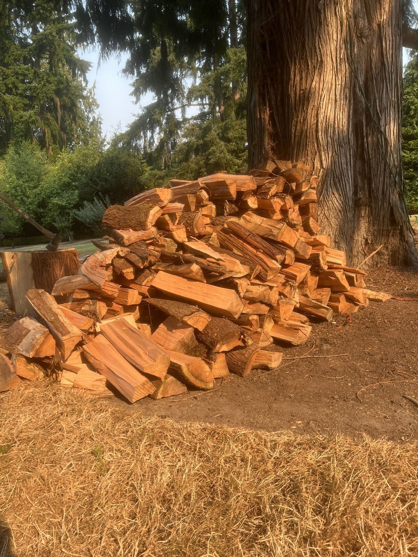 Cedar Firewood and Delivery!