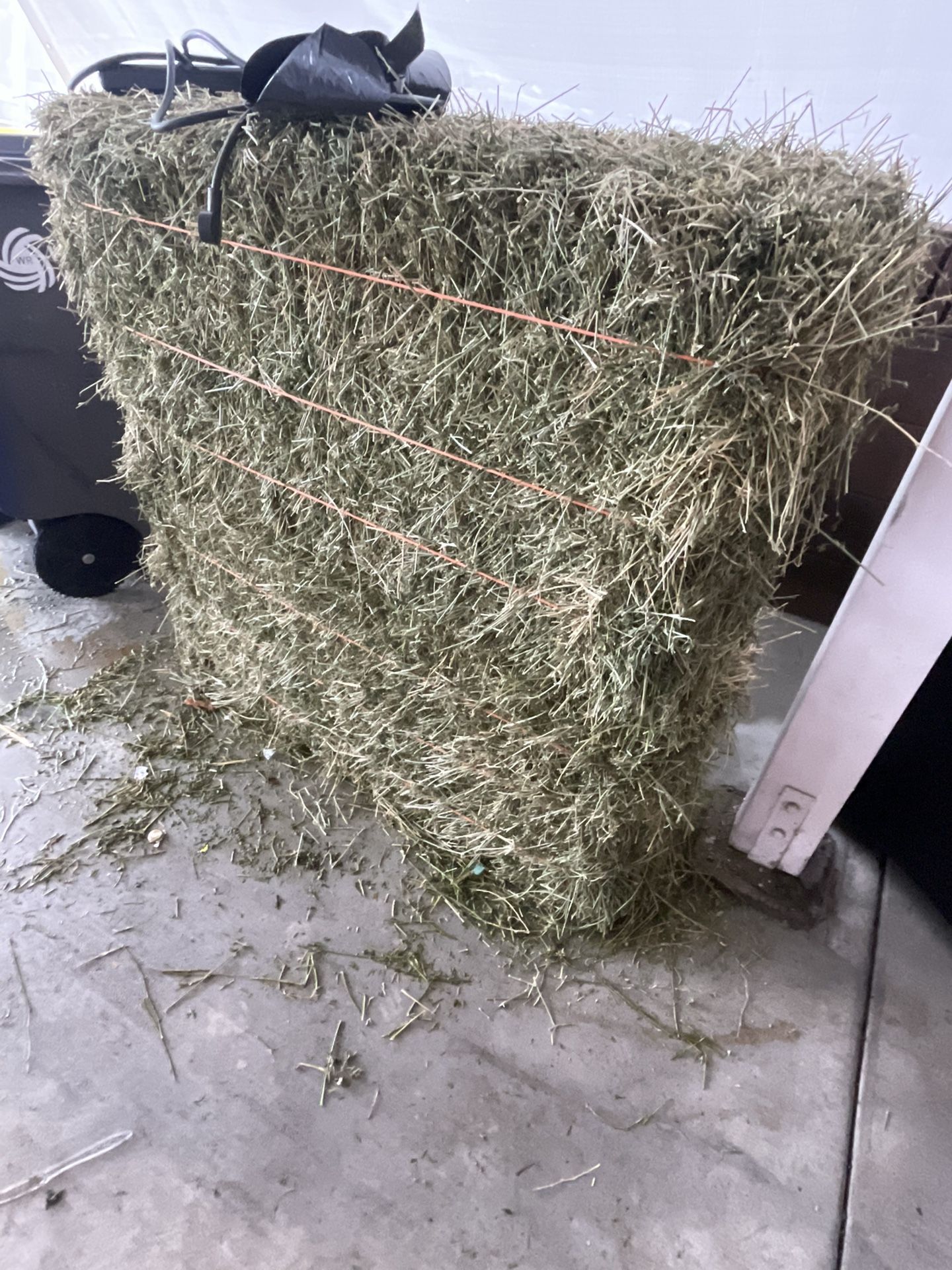 Hay Stack 