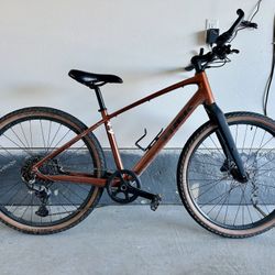 Trek Dual Sport 3