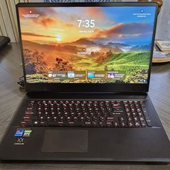 MSI Vector 17.3" Laptop