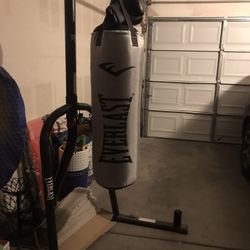 Everlast Nevatear 70 lb. Platinum Heavy Bag