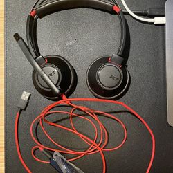 Plantronics Headset With Mic (black)