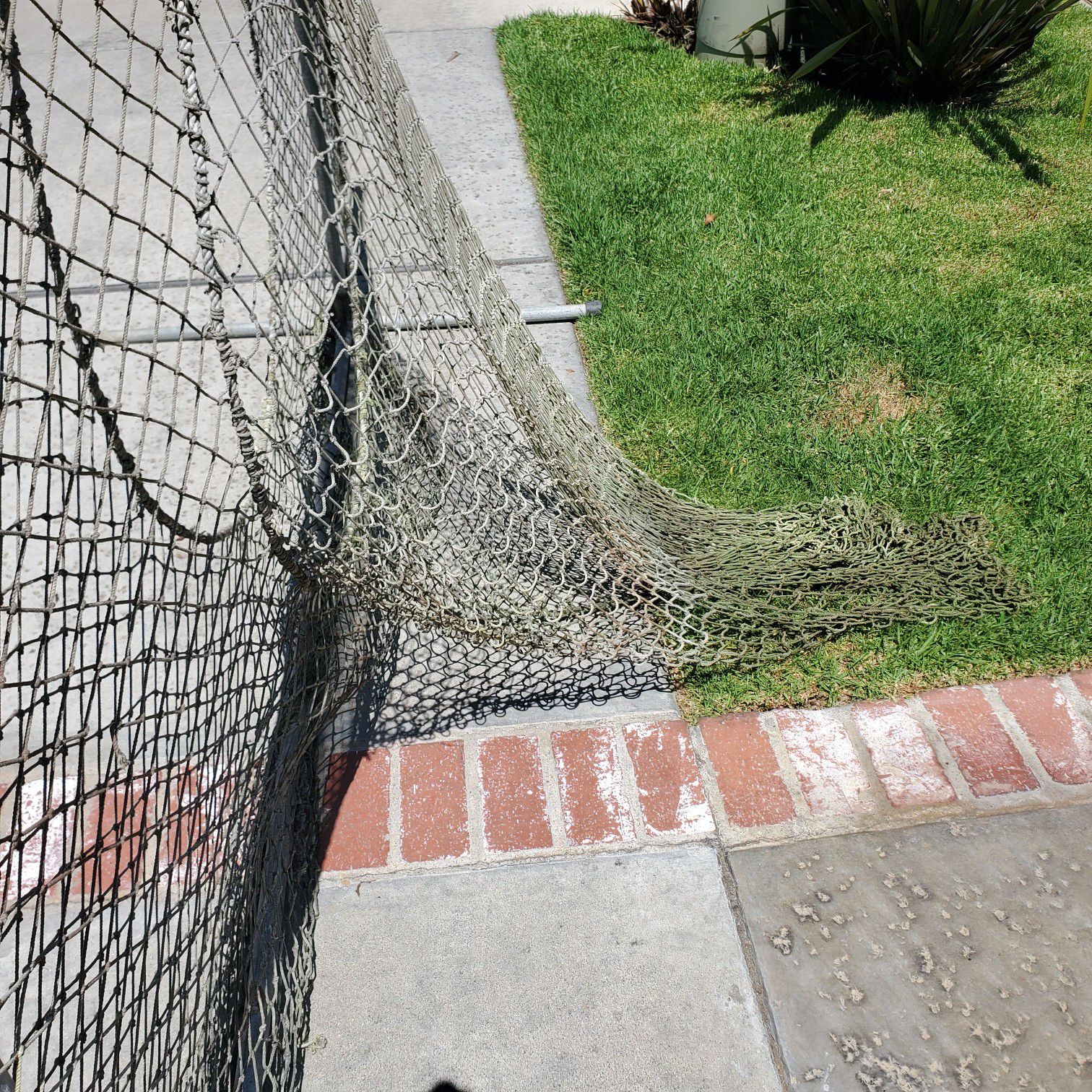 Baseball Hitting Net