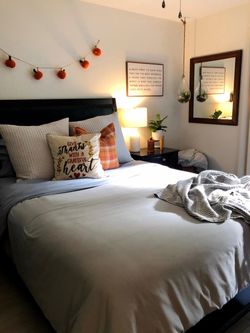 Queen Bed and Mattress