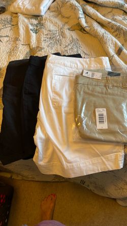 Size 20 Lane Bryant Shorts Bundle of 4