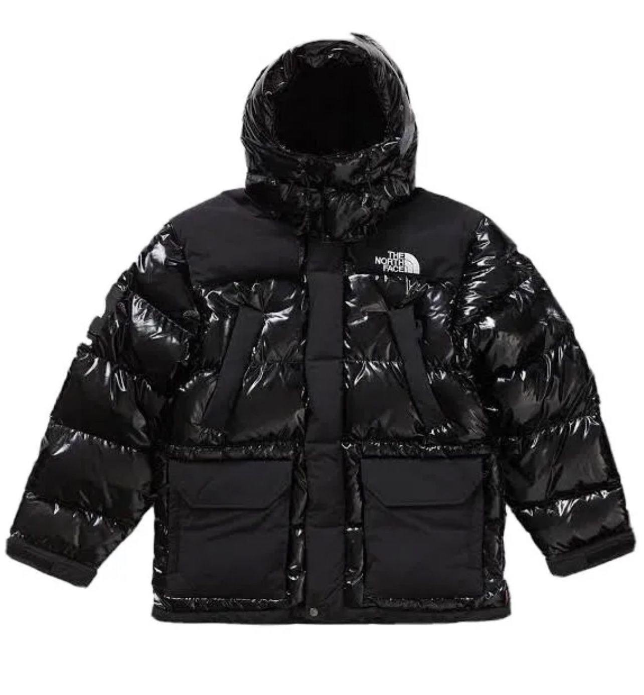 Supreme The North Face 700-Fill Down Parka Black Dragon Coat