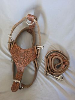 Dog harness