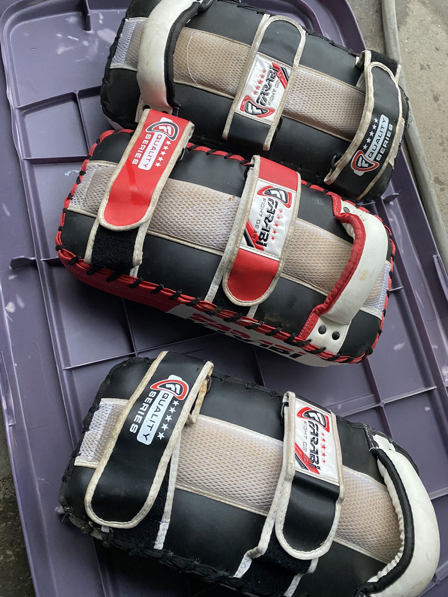 Muay Thai Pads 3 Count