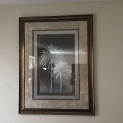 All Frame Good Quality Good Conditions 