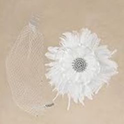 BABEYOND Veil Fascinator Hat for Women Feather Fascinators Hair Clip with Removable Veil Tea Party Hat Bridal Wedding

