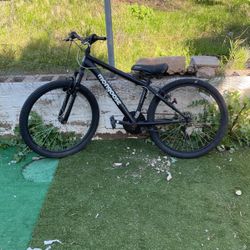 Mongoose Small Mountain Bike