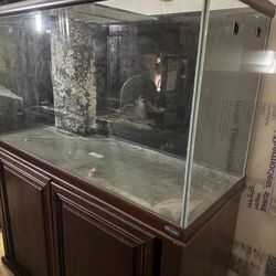 $99 For 90 Gallon Reef Tank And Stand