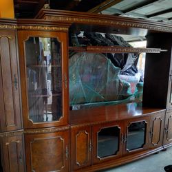 Huge Entertainment Center