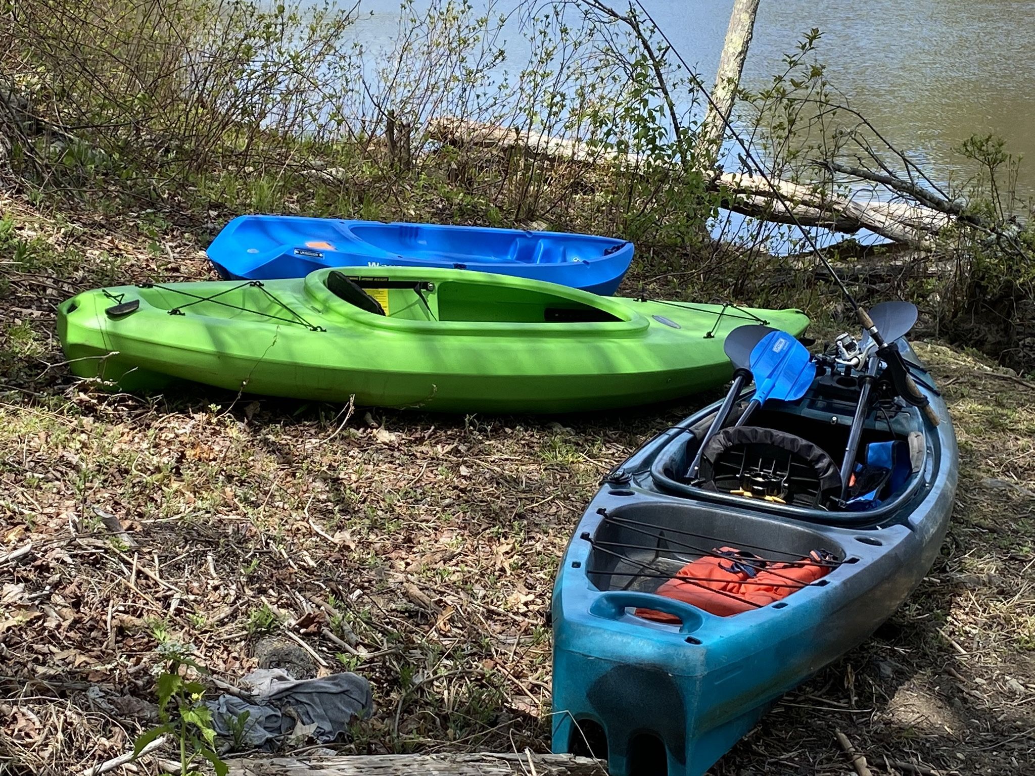 Green Kayak - Sun Dolphin- Aruba