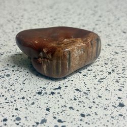 Petrified Wood Fossil Stone Specimen