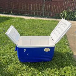Igloo Cooler