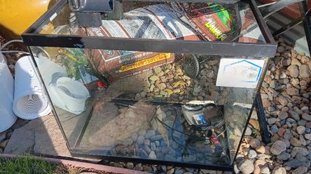 Reptile & Fish Tanks