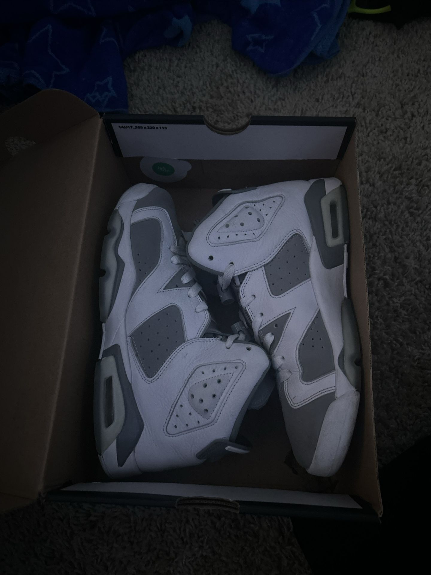 Air Jordan 6 Retro 'Cool Grey'
