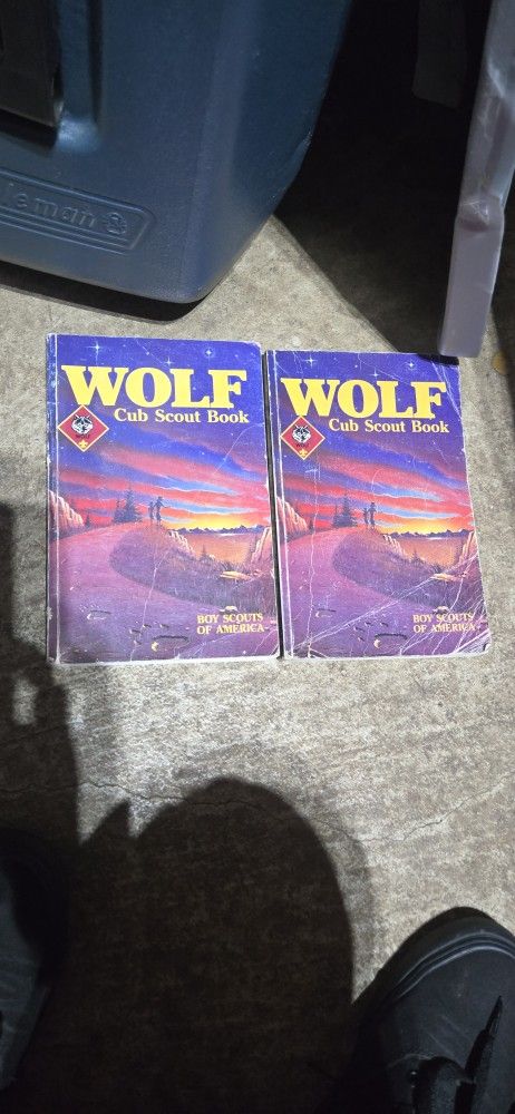 Vintage Cub Scout Book (2)