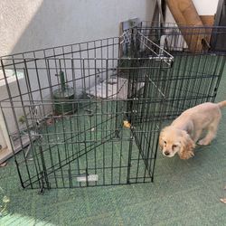 Dog Play Pen