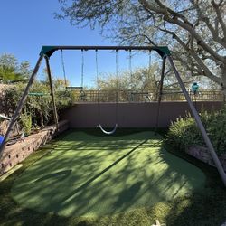 Lifetime Swing Set