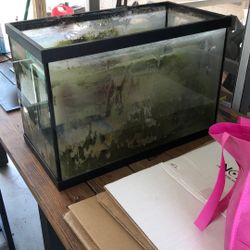 15 Gallon Aquarium Fish Tank W Filter Lid Accessories 