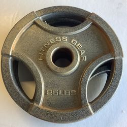 50 Lbs of Olympic Weight