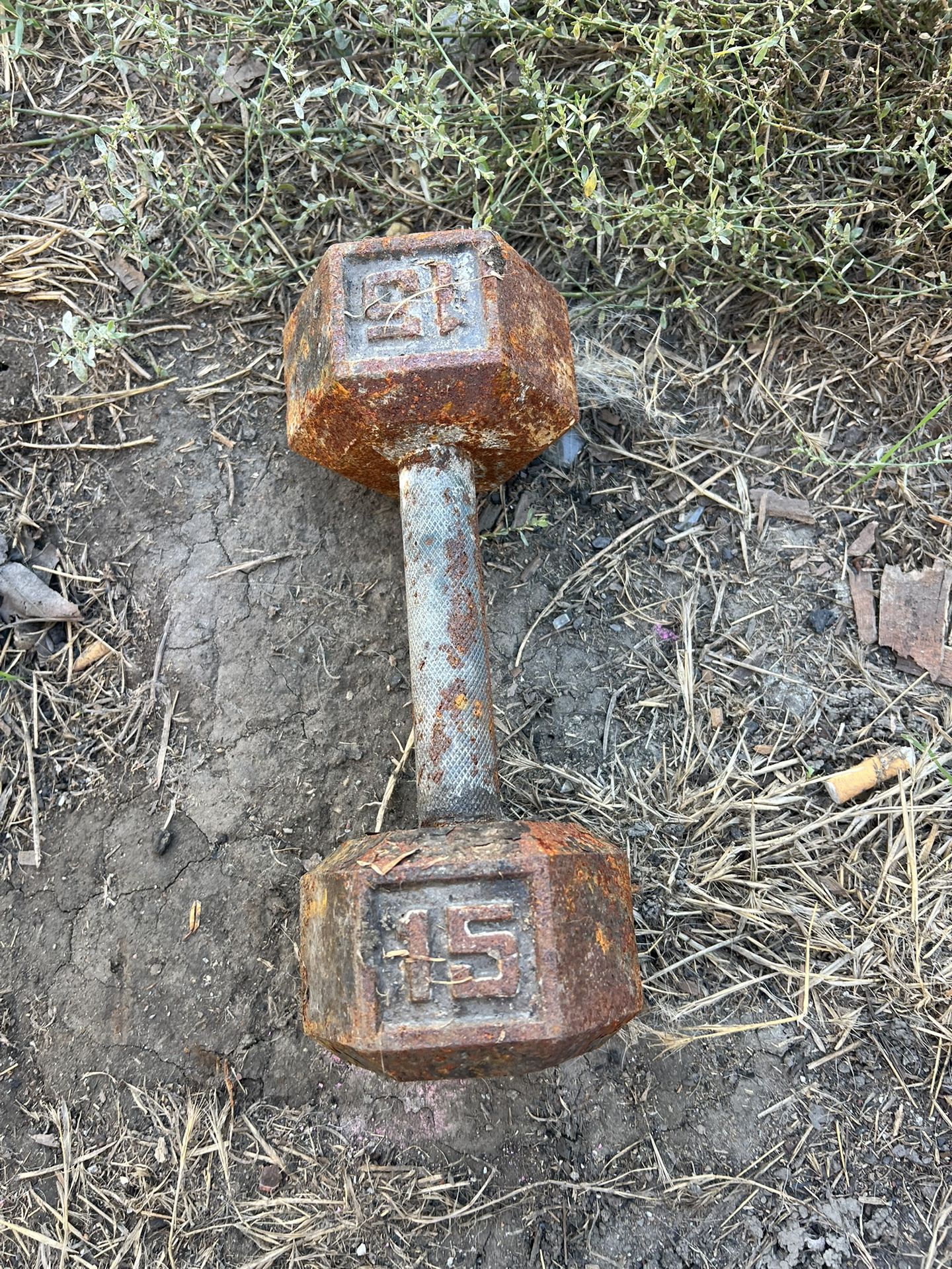 Exercise Weight
