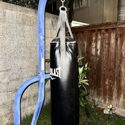 Everlast Punching Bag with Stand