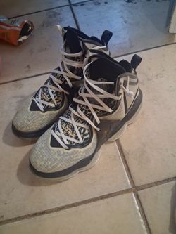 LeBron 19s