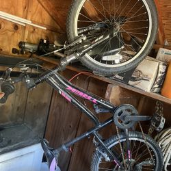 Trek kids mountain bike