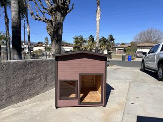 Dog House 